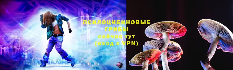 Галлюциногенные грибы MAGIC MUSHROOMS  Грязи 